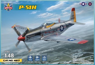 Scale model  P-51H Mustang
