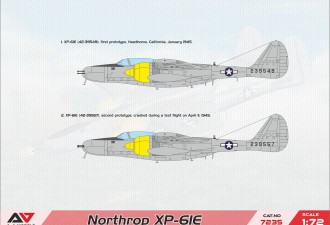 Scale model  XP-61E experim.fighter