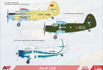 Scale model  An-2 "Colt" Utility Biplane