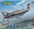 Scale model P-51H Mustang
